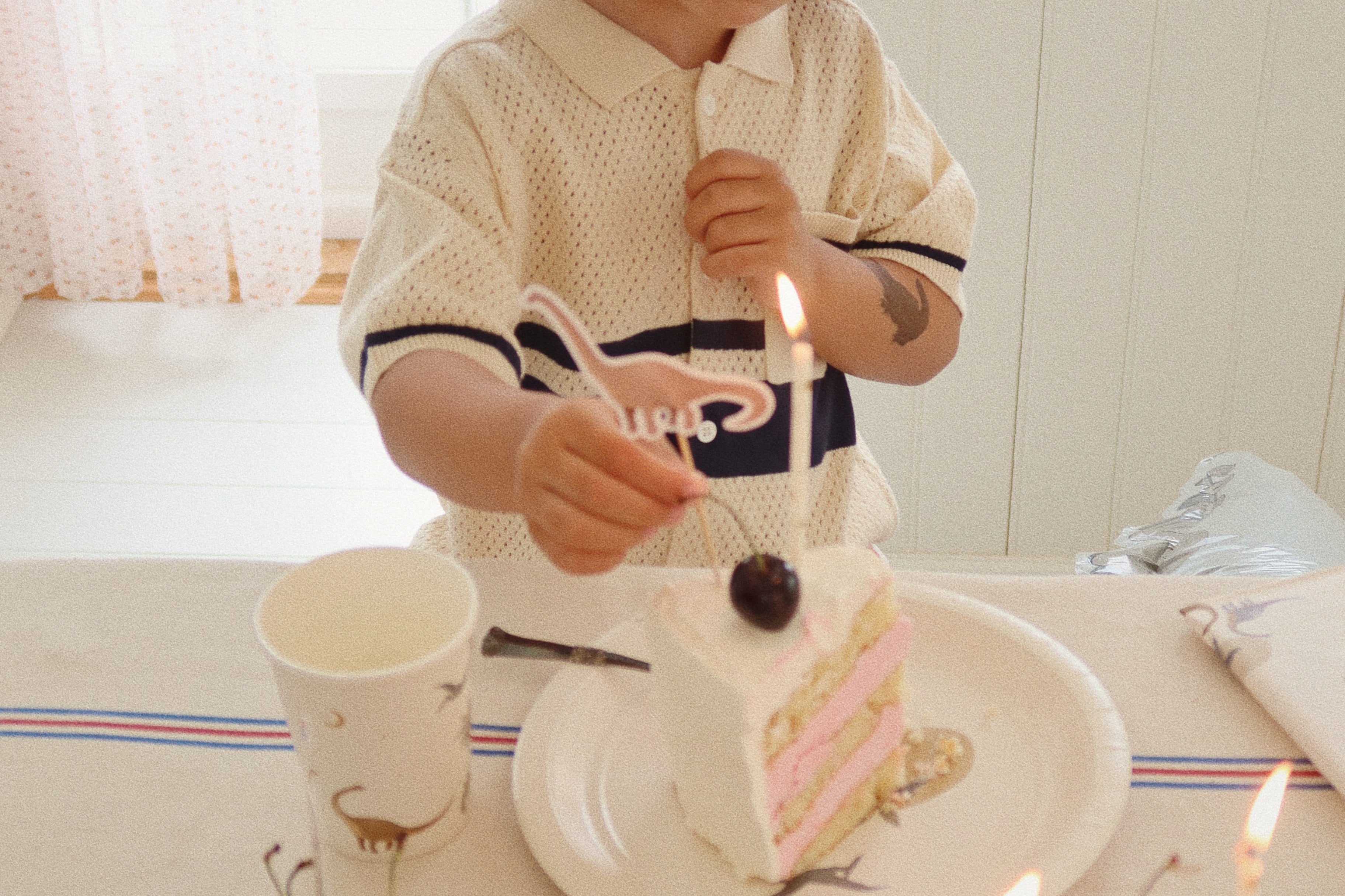 Konges Sløjd A/S Geburtstag und Feiern dino
