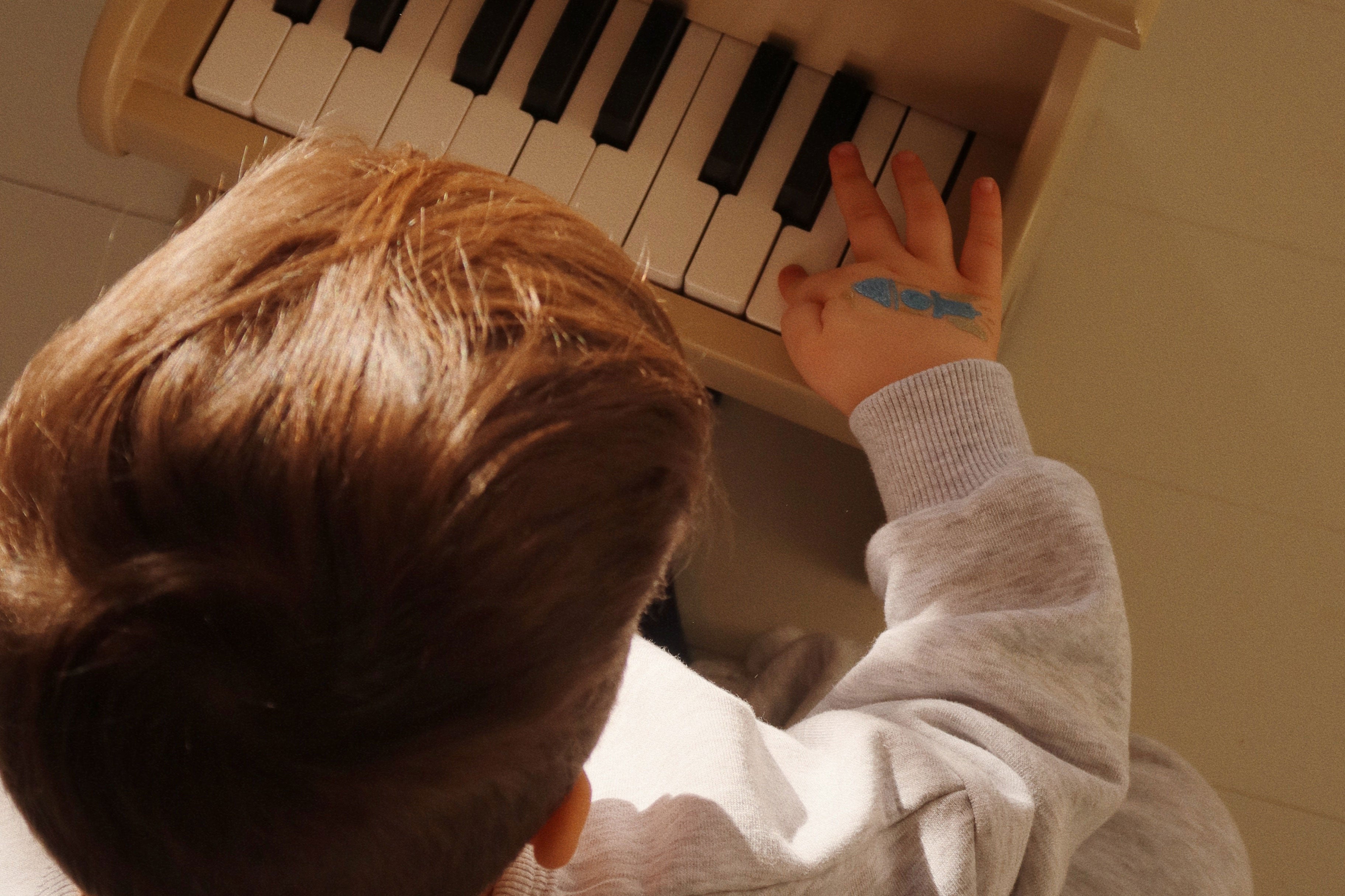 Konges Sløjd A/S Spielzeug mit Musik dino