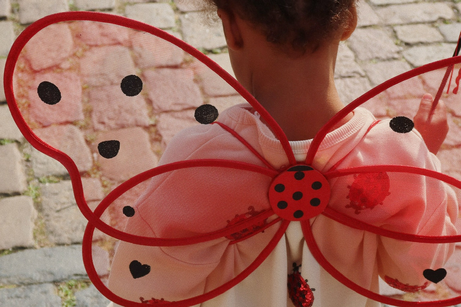 Konges Sløjd A/S Hosen - Jersey ladybug