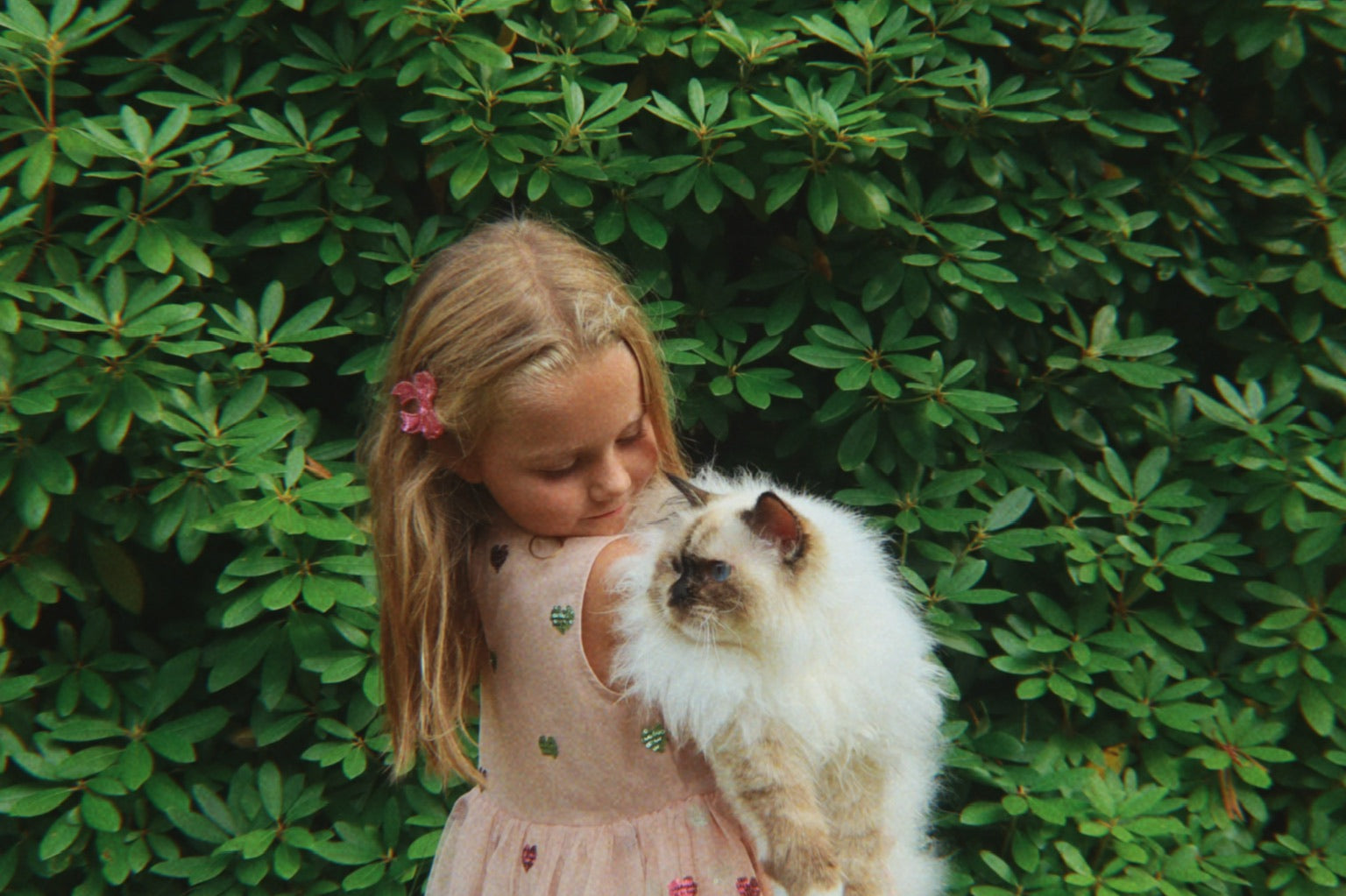 Konges Sløjd A/S WOVEN DRESSES bow kitty