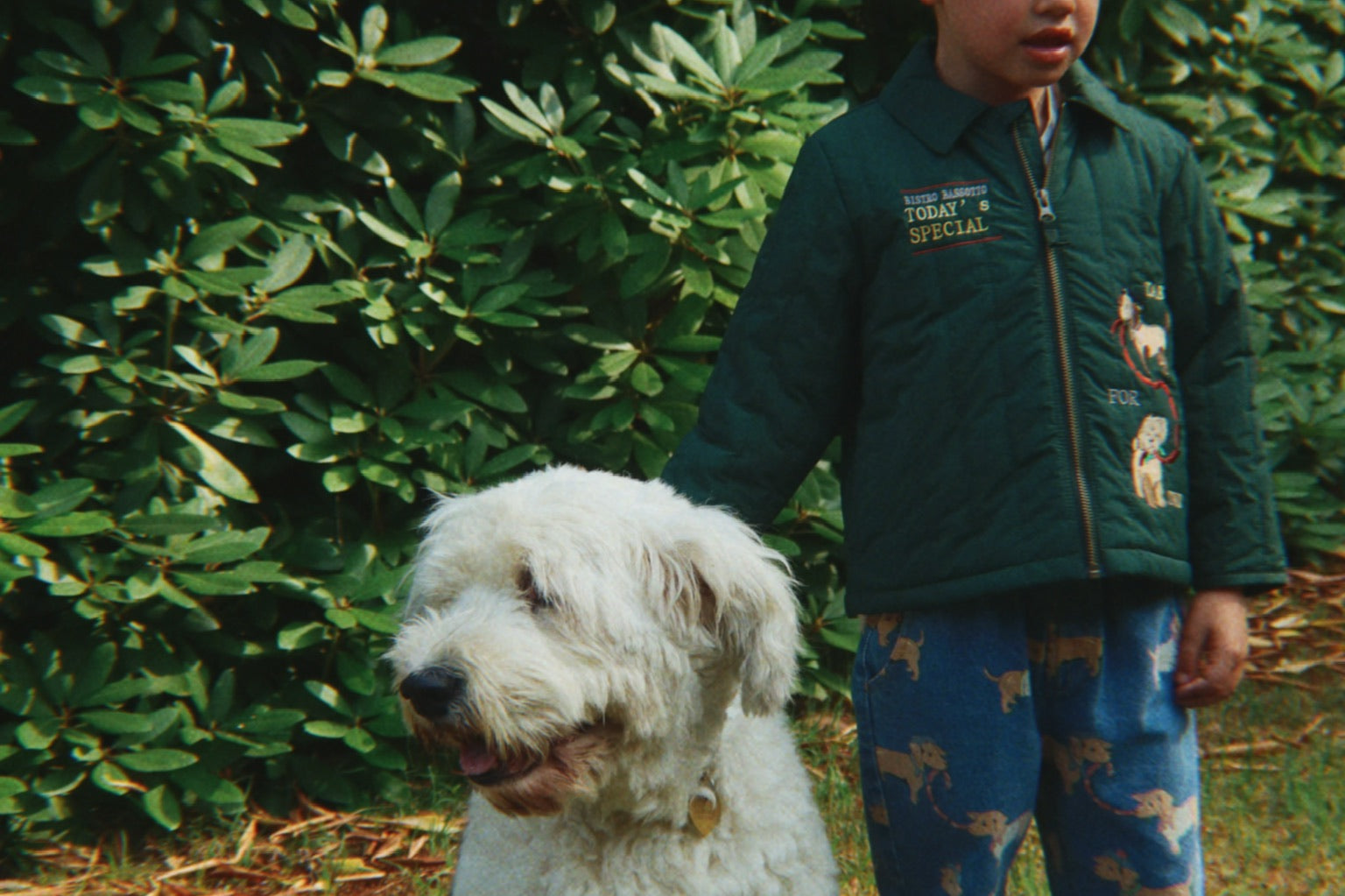 Konges Sløjd A/S Thermobekleidung pine grove