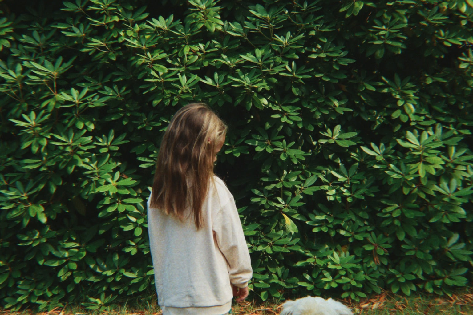 Konges Sløjd A/S Blusen - Jersey family photo