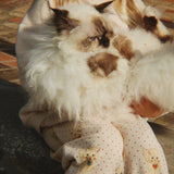 Konges Sløjd A/S Hosen - Jersey miao amore