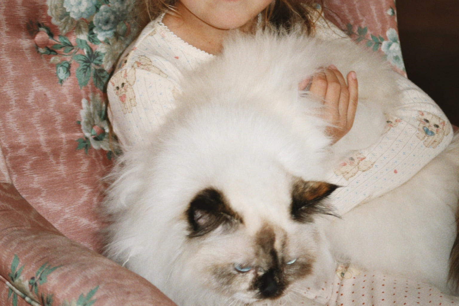 Konges Sløjd A/S Hosen - Jersey miao amore