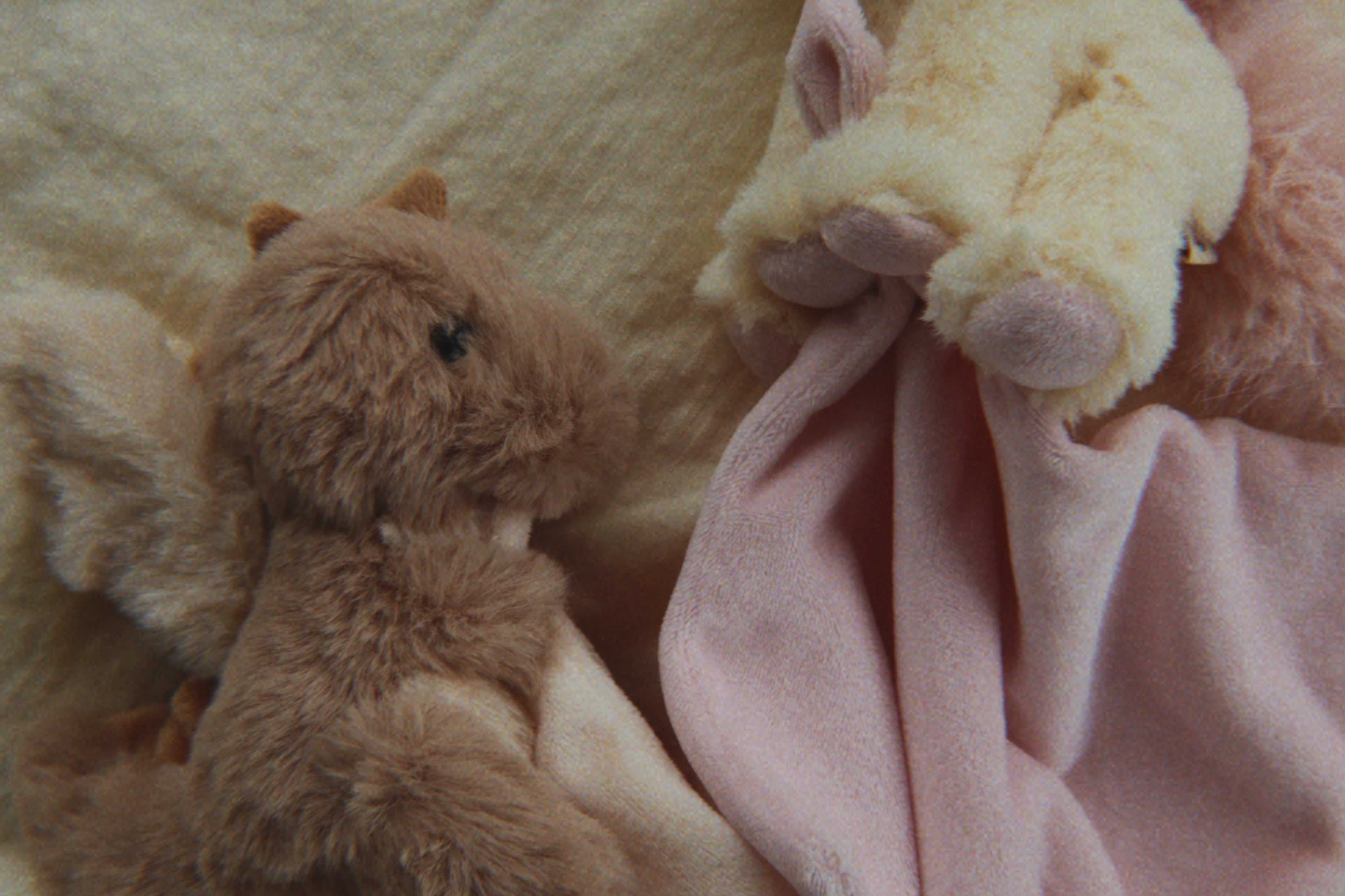 Konges Sløjd A/S TEDDY BEARS off white unicorn