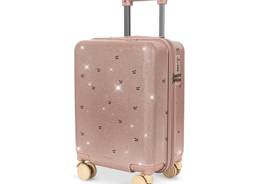 koffer aufbewahren englisch TRAVEL SUITCASE
