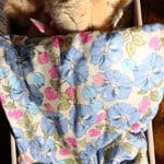 Konges Sløjd A/S Teddybäre green check